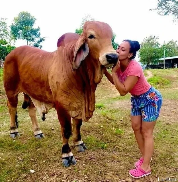 Leidy Profile image 4